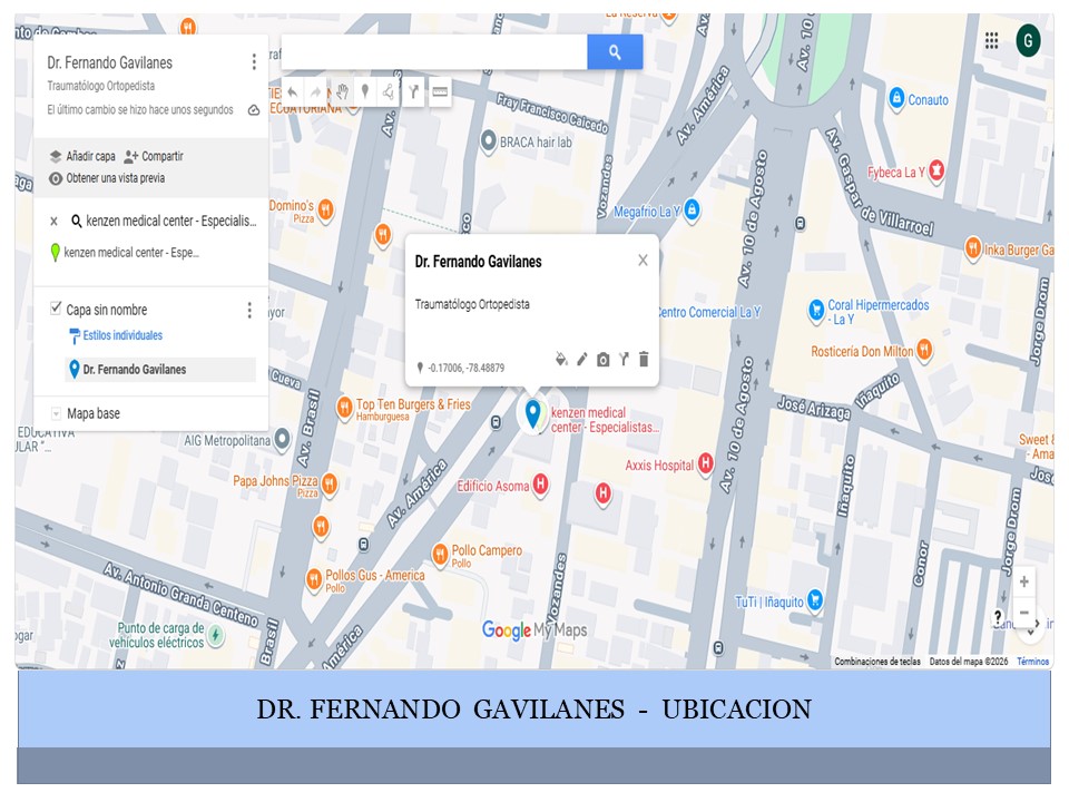 fernando gavilanes